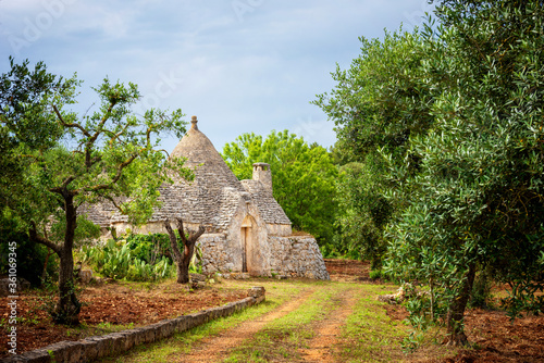 Fotografi Trulli with olive grove. Val d'Itria - Puglia (Apulia) - Italy