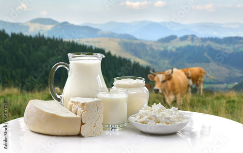 Fotografie Milk, sour cream, cheese and cottage cheese on white table on background of mead