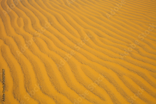 Fototapeta Naklejka Na Ścianę i Meble -  Sand dune in the desert. View on the sandy slope from the top of the sand dune. Sand texture. Sand pattern full frame photography. Sand dune surface in the hot sunny day. Sand ripples close-up. 