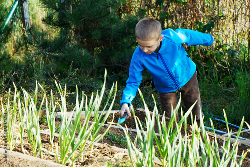 Chłopak w niebieskiej kurtce pracujący w ogródku