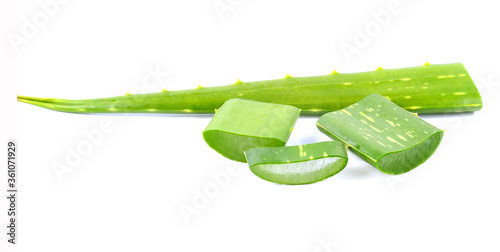 Aloe sliced, isolated on a white background