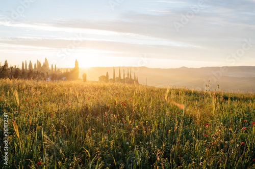 Beautiful Italian traditional rural landscape at dawn