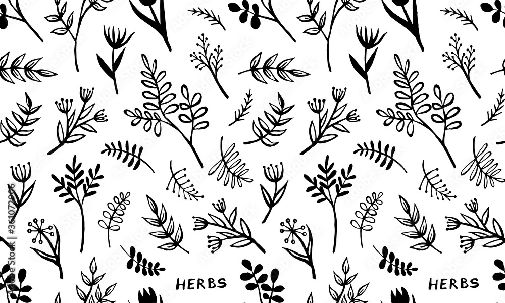 Hand drawn vector seamless pattern with herbs. Doodle floral element. Spring and summer symbol. Contour otline drawing of simple black twigs and flowers. Print design Hand drawn vector seamless pattern with herbs. Doodle floral element. Spring and summer symbol. Contour otline drawing of simple black twigs and flowers. Print design