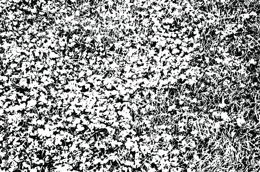 Grass texture. Nature background.Grunge texture. Grunge black and white vector overlay. Grungy grainy surface. Grass texture. Nature background.Grunge texture. Grunge black and white vector overlay. Grungy grainy surface.