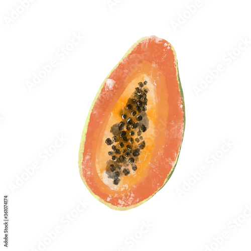 Watercolor papaya. Provencal style. Recent watercolor paintings of organic food.