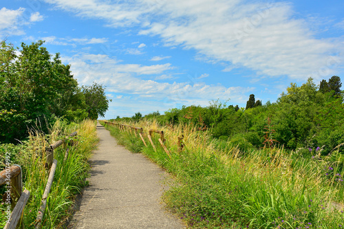 A cycle lane in the wetlands of Isola Della Cona in Friuli-Venezia Giulia, north east Italy 