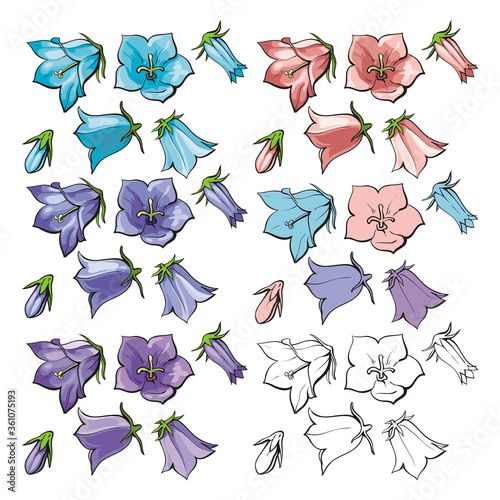 Vector flat bell flower leaves blossoms stems set