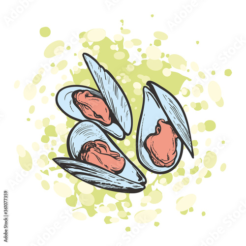 vector sketch mussels underwater animal sea food
