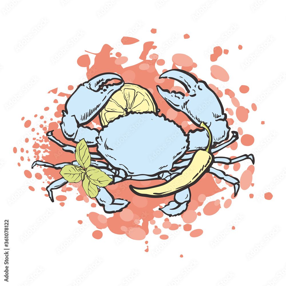 Vector illustration of crab with lemon and spices in sketch style.