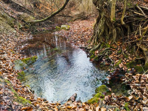 Photography Scenic view of mountain stream in autumn during overcast day