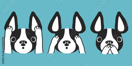 Three dogs vector character illustration. See no evil, hear no evil, speak no evil. French bulldog cartoon on blue background.