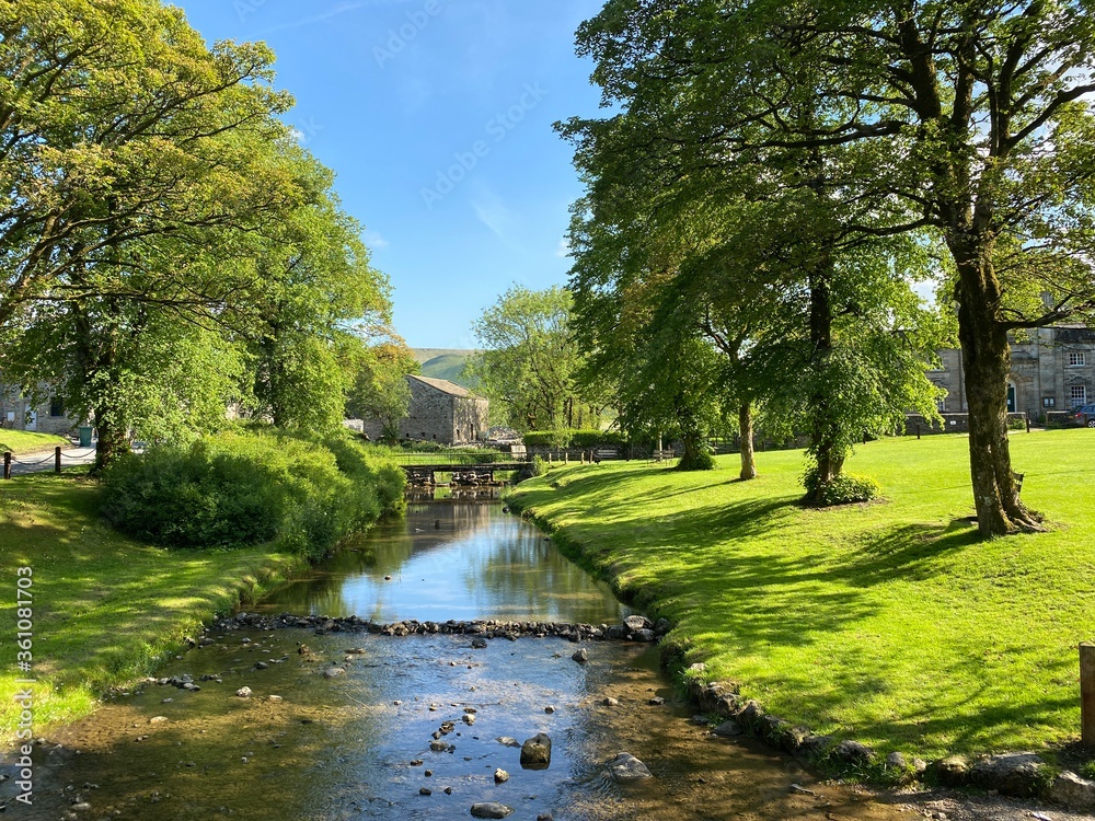 A view of Linton Beck, from the old stone bridge, with old trees, grass, and plants in, Linton, Skipton, UK