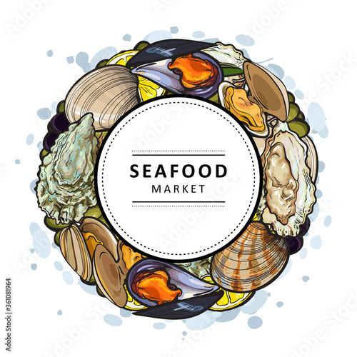 Vector illustration of seafood market banner with various aquatic edible molluscs.
