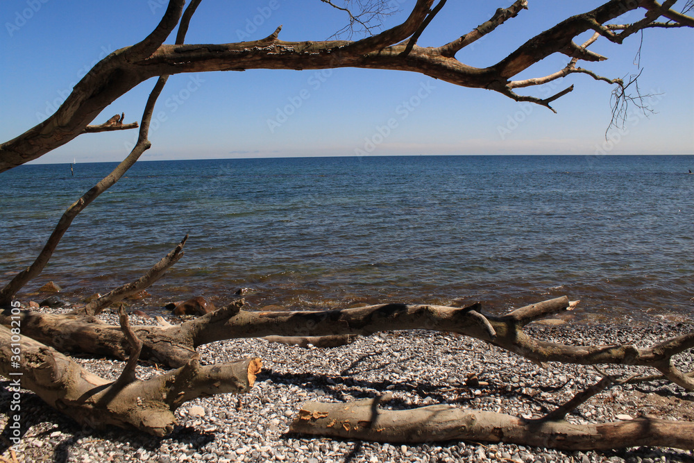 Strand an der Rügener Kreideküste