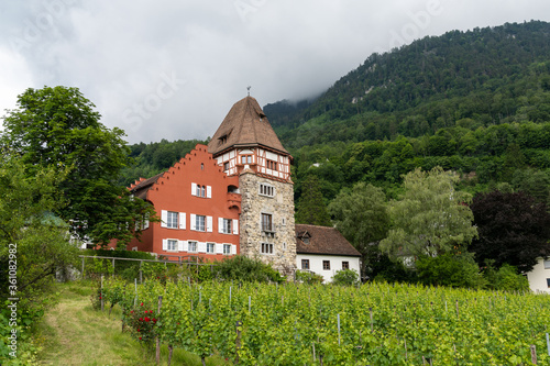 view of the historic 13th-century Red House in Vaduz in Liechtenstein