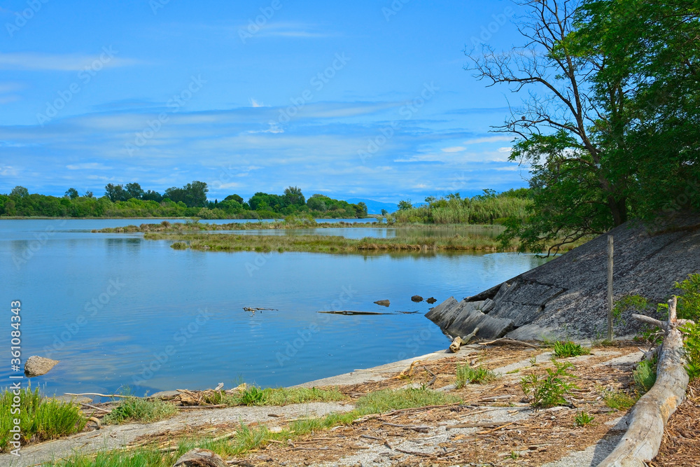 Obraz premium The wetlands of Isola Della Cona in Friuli-Venezia Giulia, north east Italy 