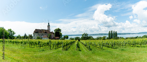 Obraz na plátně panorama view of view of the historic cathedral in Birnau on Lake Constance in s