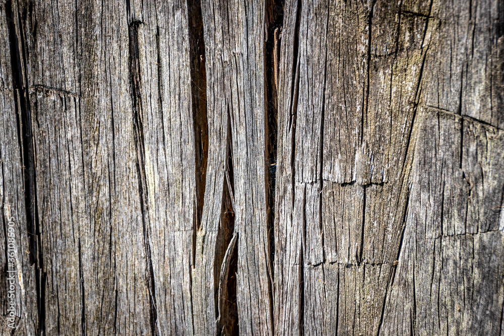 Plank on a North Sea Pier Plank on a North Sea Pier