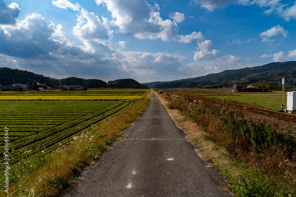 Local path are running in countryside,  JAPAN.