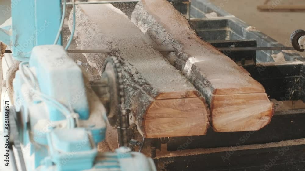Closeup of cut pine tree log on sawing machine at wood production factory. Timber material processing and cutting at sawmill. Manufacturing process at lumber mill. Sawing woods on power machine Closeup of cut pine tree log on sawing machine at wood production factory. Timber material processing and cutting at sawmill. Manufacturing process at lumber mill. Sawing woods on power machine