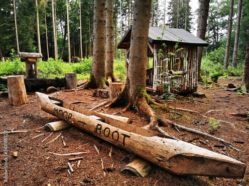 Wooden sculptures in the nature reserve Pfrunger-Burgweiler Ried photo