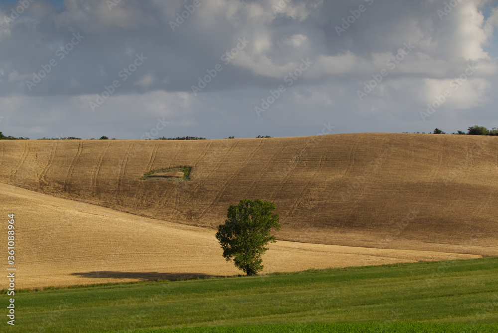 View of the Tuscan countryside