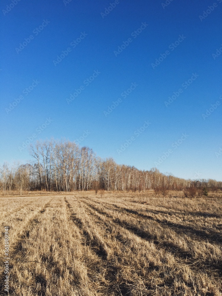 plowed field in winter