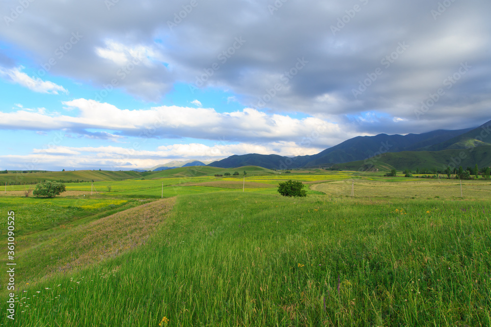 Beautiful spring and summer landscape. Lush green hills. Spring blooming herbs.