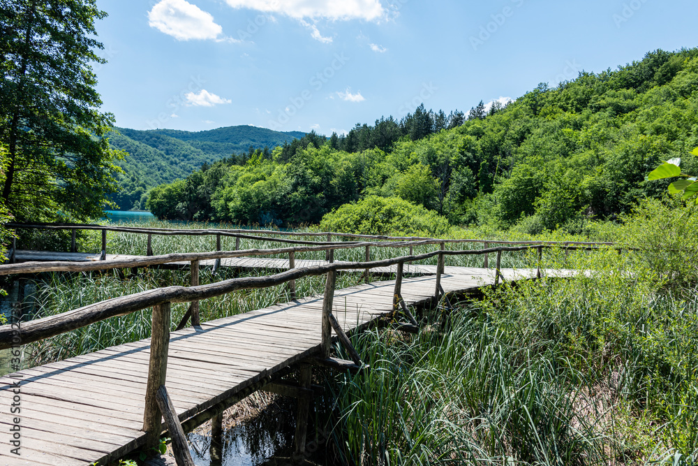 Wooden trail Wooden trail