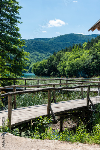 Wooden trail