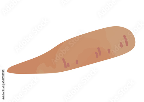 キャッサバのイラスト