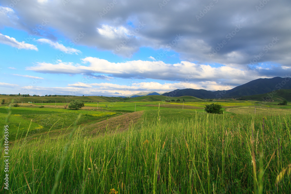 Beautiful spring and summer landscape. Lush green hills. Spring blooming herbs.