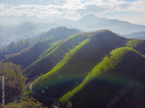 Aerial view of tea plantations near the city of Munar. India.