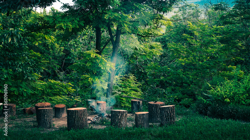 Picnic in the forest