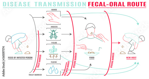 Disease transmission Image