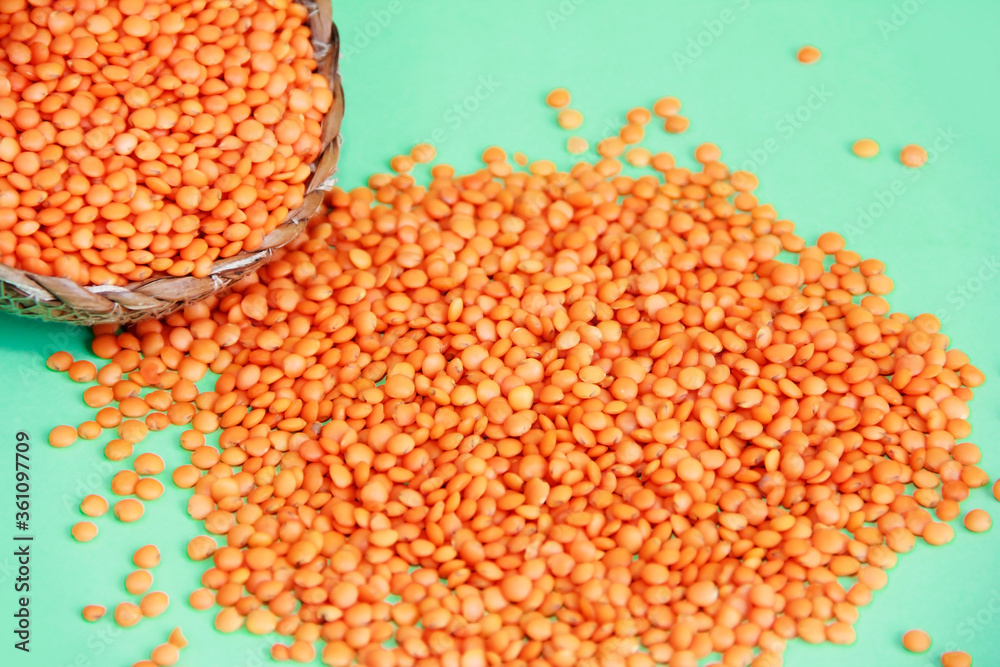 small grains of natural red lentils on a green background small grains of natural red lentils on a green background