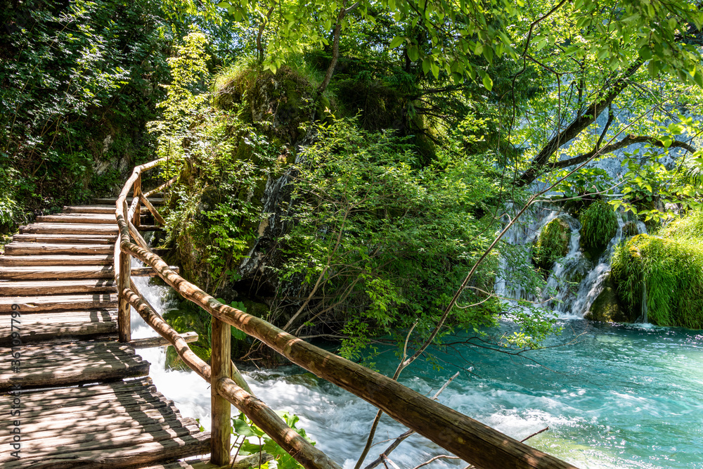Naklejka premium Picturesque morning in Plitvice National Park. Colorful spring scene of green forest with pure water lake. Great countryside view of Croatia, Europe