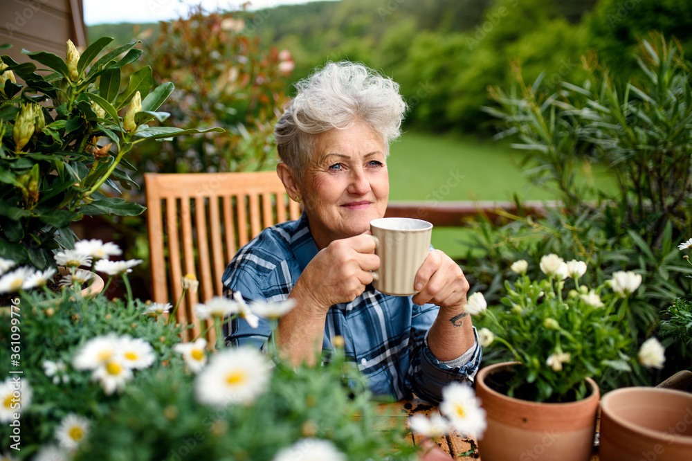 Senior woman gardening on balcony in summer, drinking coffee. Stock ...