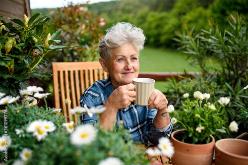 Senior woman gardening on balcony in summer, drinking coffee.