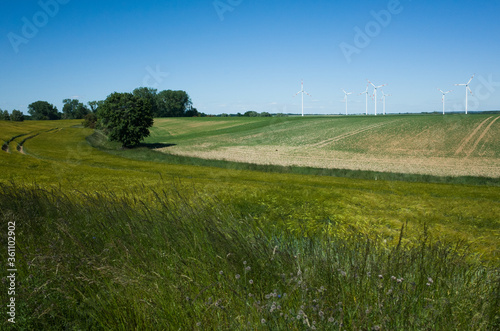 Feld und Windräder