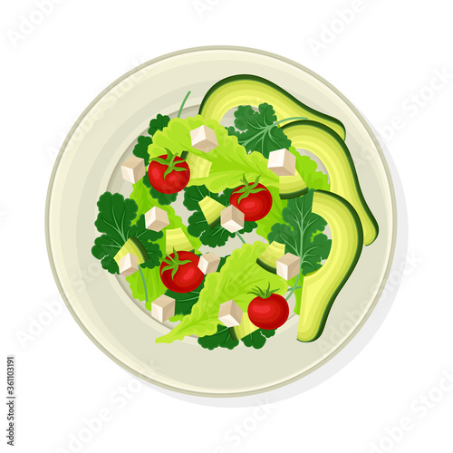 Vegetable Salad with Lettuce and Soft Cheese Vector Illustration