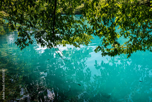Fototapeta Naklejka Na Ścianę i Meble -  Picturesque morning in Plitvice National Park. Colorful spring scene of green forest with pure water lake. Great countryside view of Croatia, Europe