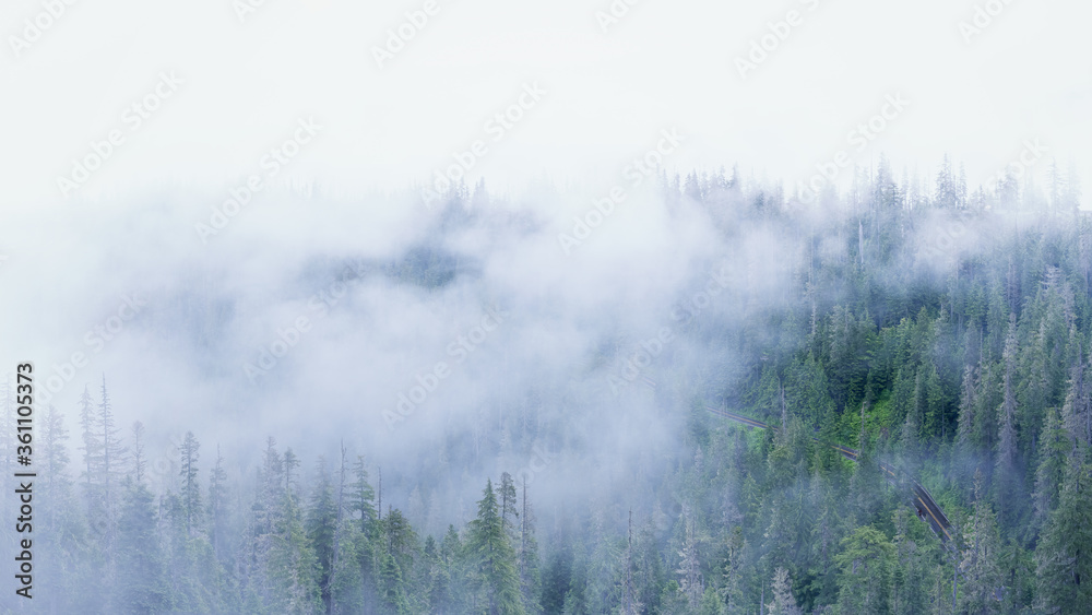 Misty mountain forest with windy road