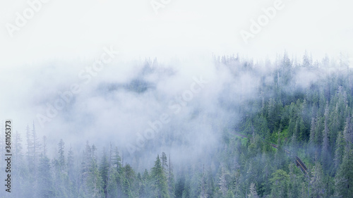 Misty mountain forest with windy road