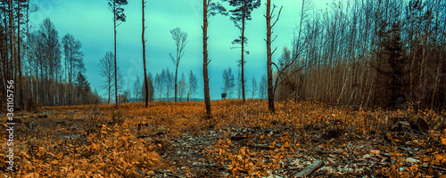 Hunting grounds at gloomy autumn day
