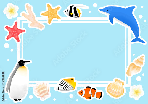 夏　魚　海の生物　イラストセット