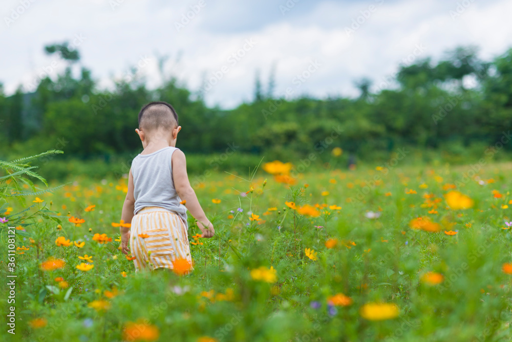 A little boy standing in the bushes A little boy standing in the bushes