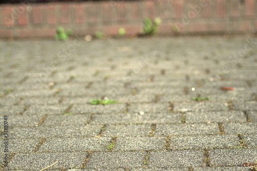 stone ground with green grass