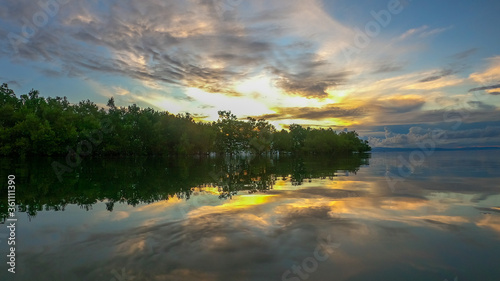 mangroves on an island with a reflection in the water © Andrei