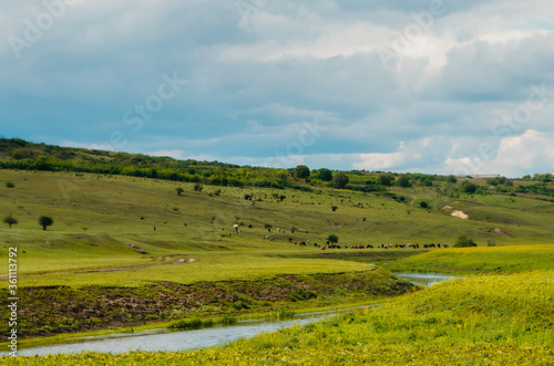 River side landscape with green fields and blue sky in a rural Moldovan setting